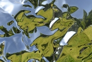 Fotowettbewerb 2021 Thema Farbe "Abstrakt"