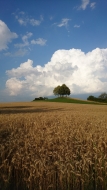 5. Rang Yuko Hosokawa Hochsommer in Dübendorf-1