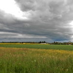 14 Unbekannt DSC_0137