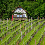 15 Unbekannt DSC_0215
