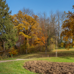 Ernst Burgermeister 1