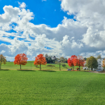 Ernst Burgermeister 2