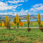 Ernst Burgermeister 3