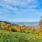 Ernst Burgermeister 4