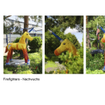 7.-Rang-Doris-Hölling