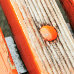 15. Rang 214 Doris Hölling-Prego, si sedia!