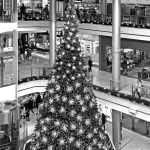 14. Rang Hans Bosshart