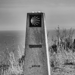 14. Rang 119 Rene Rohr-Anfang oder Ende