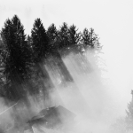 12. Rang Arthur Pfäffli-Nebel