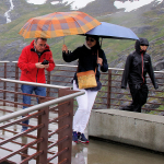 17. Rang Walter Steinacher-Wetter liebevoll beschützt