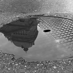 3. Rang Urs Zimmermann-Regenpfütze