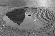 3. Rang Urs Zimmermann-Regenpfütze