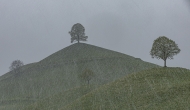4. Rang René Rohr-Schneesturm