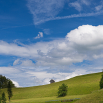 7. Rang Peter Jenni-Sternenberg