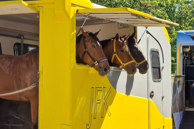 19. Rang Ueli Werner Pferdetransporter