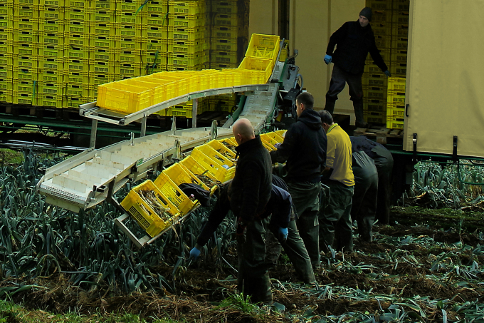 24. Rang Walter Steinacher The yellow boxes