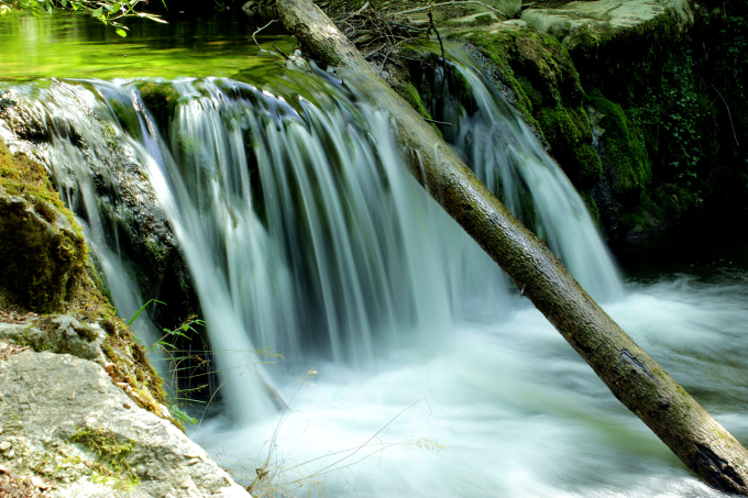 Yang Yue and Lu Zheng 2