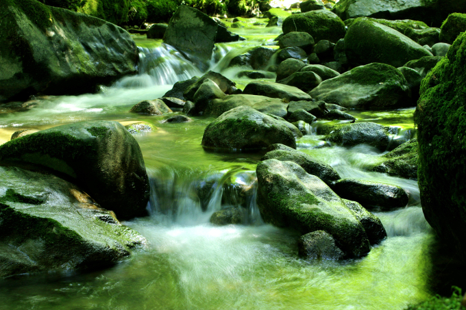 Yang Yue and Lu Zheng 3