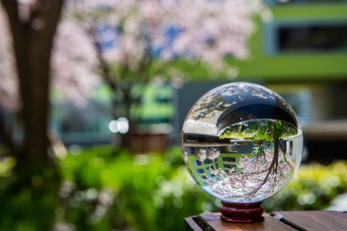 Iris Steger Lensball2