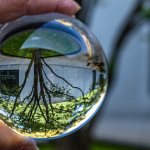 Susanne Baumberger Lensball3