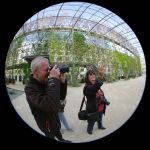 Walter Steinacher Lensball8