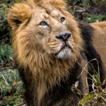 Susanne Baumberger 1