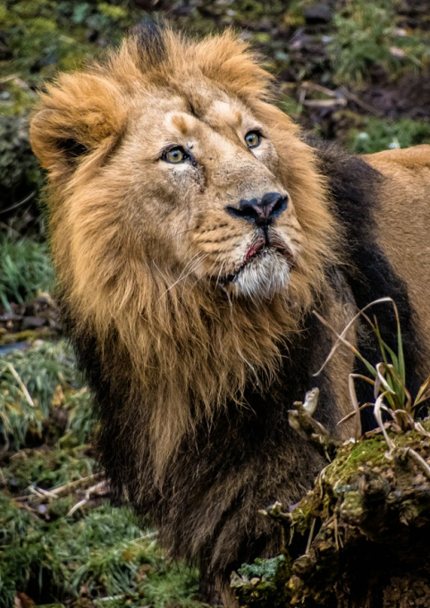 Susanne Baumberger 1