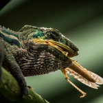 Susanne Baumberger 2