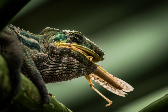 Susanne Baumberger 2