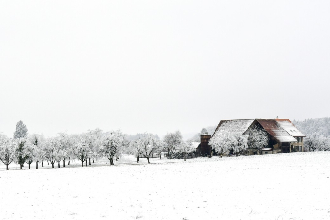 11_Winter