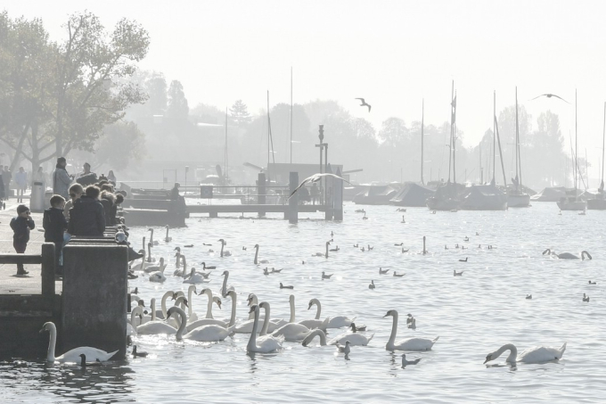 12_Zürich