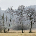 14_Greifensee