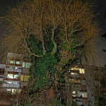 Martin Jung, Bild-1