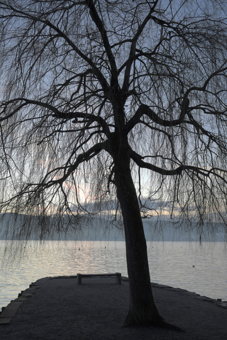 Urs Zimmermann, Bild-1
