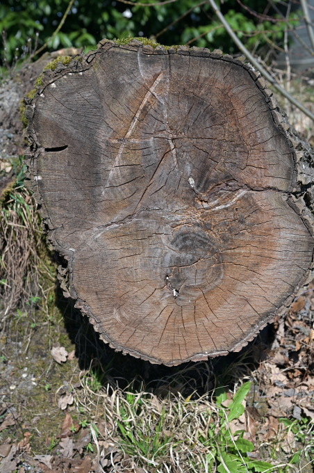 Kurt Wunderlin, Bild-3