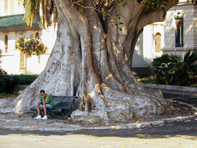 Ueli Werner, Bild-3, Reggio Calabria