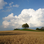 5. Rang Yuko Hosokawa Hochsommer in Dübendorf-1
